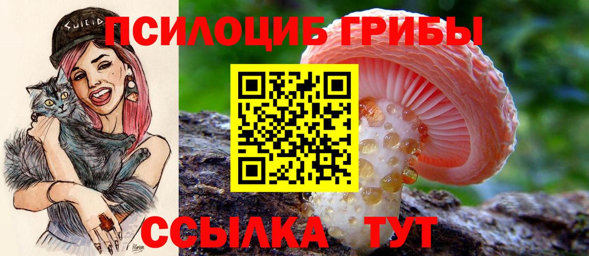 Галлюциногенные грибы MAGIC MUSHROOMS Карачаевск